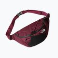 Ľadvinka The North Face Lumbnical S boysenberry 3