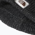 Dámska čiapka The North Face Salty Bae Lined black 3