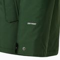 Pánska zimná bunda The North Face Zaneck Jacket pine needle 9