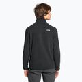 Pánska fleecová mikina The North Face Homesafe Snap Neck Fleece Pullover black 2