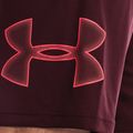 Under Armour Tech Graphic pánske tréningové šortky dark bordó/beta 4