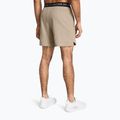 Men's training shorts Under Armour UA Vanish Woven 6in timberwolf taupe/black 3
