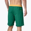 Pánske šortky Patagonia Wavefarer Boardshorts conifer green 2