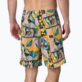 Pánske šortky Patagonia Wavefarer Boardshorts island seeds/milkweed mauve 3