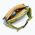 Ľadvinka Cotopaxi Allpa X Hip Pack 1,5 l lemongrass/cedar 6