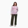 Dámska mikina Cotopaxi Do Good Pullover Hoodie antique 2