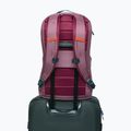 Mestský batoh Cotopaxi Allpa Daypack 26 l fig 6
