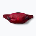 Ľadvinka Cotopaxi Allpa X Hip Pack 1,5 l crimson