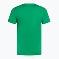 Pánske tenisové tričko Nike Court Dri-Fit Heritage stadium green 2