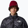 Pánska trekingová čiapka The North Face Norm Beanie beetroot 3