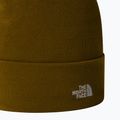 Pánska trekingová čiapka The North Face Norm Beanie moss green 2