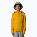 Detská mikina The North Face Teen Redbox Regular P/O summit gold