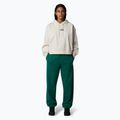 Dámska mikina The North Face Essential Crop white dune 2