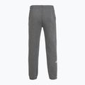 Pánske nohavice The North Face Varsity Graphic medium grey heather 2
