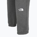 Pánske nohavice The North Face Varsity Graphic medium grey heather 4