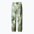 Pánske lyžiarske nohavice The North Face Build Up nettle the lift print 4