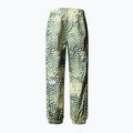 Pánske lyžiarske nohavice The North Face Build Up nettle the lift print 5