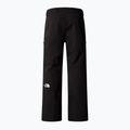 Pánske lyžiarske nohavice The North Face Chakal Short black 5