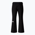 Pánske lyžiarske nohavice The North Face Descendit black 5