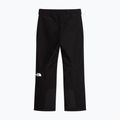 Pánske lyžiarske nohavice The North Face Descendit tnf black 4