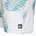 Pánske plavecké šortky Quiksilver Wild Fern Volley 17" 3