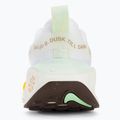 Dámska bežecká obuv Nike InfinityRN 4 white/sail/vapor green/multi-color 6
