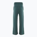 Dámske nohavice Nike Sportswear Phoenix Fleece vintage green/sail 2