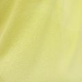 Pánske bežecké tričko HOKA Race Singlet hoka citrus 9