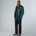 Pánske nohavice The North Face Antora Rain black 2