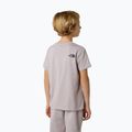 Detské tričko The North Face Teen Simple Dome Tee moonstone grey 3