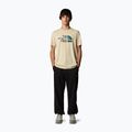 Pánske tričko The North Face Mountain Line Tee gravel 2