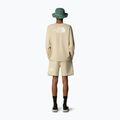 Pánske tričko Longsleeve The North Face Easy Tee gravel 2