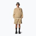 Šortky The North Face Mountain Cleanup Relaxed khaki stone 2
