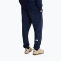 Pánske trekingové nohavice The North Face Simple Dome Light Regular Tapered Jogger summit navy 3