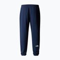 Pánske trekingové nohavice The North Face Simple Dome Light Regular Tapered Jogger summit navy 5