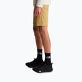 Pánske trekingové šortky The North Face Lightning SHT khaki stone/npf 4