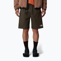 Pánske šortky The North Face Limestone new taupe green