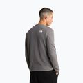 Pánska mikina The North Face Kecha Crew smoked pearl/asphalt grey 3