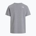 Pánske tričko The North Face Evolution Half Dome tnf pale grey heather 5