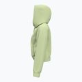 Dámska mikina Under Armour Pro Fleece Hoodie retro green/white 4