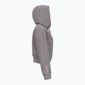 Dámska mikina Under Armour Pro Fleece Hoodie tetra gray/white 3