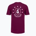 Pánske tréningové tričko Under Armour Project Rock Badge Of Honor purple 4