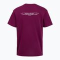 Pánske tréningové tričko Under Armour Project Rock Terry Q3 purple 2
