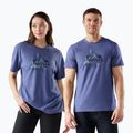 Pánske trekingové tričko Smartwool Alpine A-Frame Graphic Tee nightfall blue 2