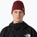 Zimná čiapka The North Face Norm Beanie sumac 3