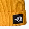 Zimná čiapka The North Face Salty Lined 2