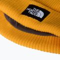 Zimná čiapka The North Face Salty Lined 3