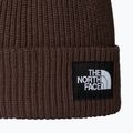 Zimná čiapka The North Face Salty Lined 2