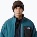 Zimná čiapka The North Face Salty Lined 4