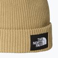 Zimná čiapka The North Face Salty Lined 2